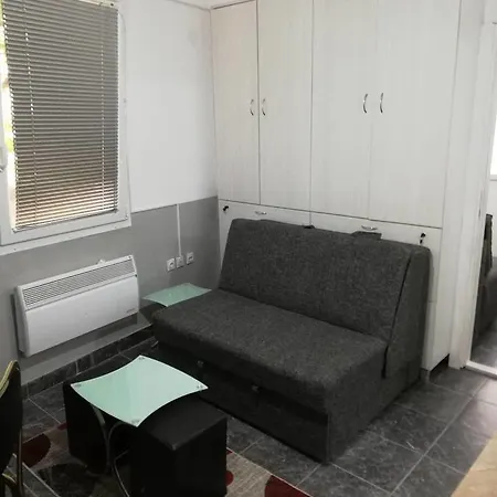 Zabac Apartment Soko Banja
